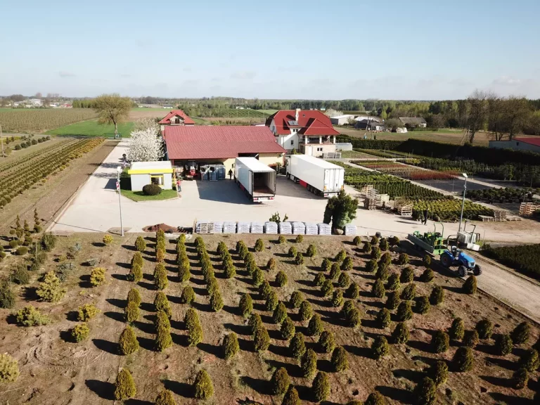 Jak dbać o rośliny kupione w szkółce? porady dla mieszkańców warszawy